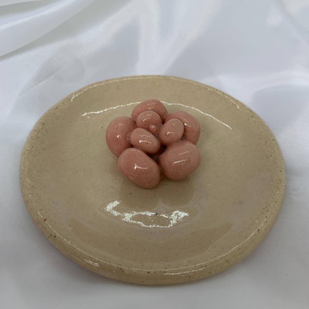 MIni Joyero de Suculentas - anama casa creativa